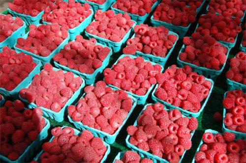 Факты о Сербии. 10 интересных фактов о Сербии Опубликовал автор 06