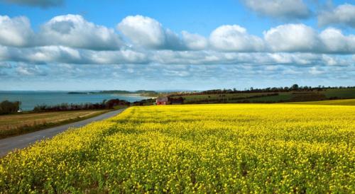 Чем славится Дания. Южная Дания