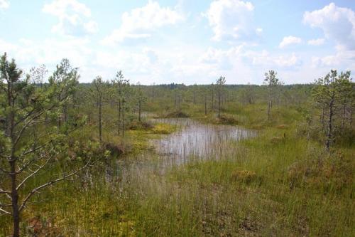 Беларусь факты. Общие интересные факты о Беларуси 01