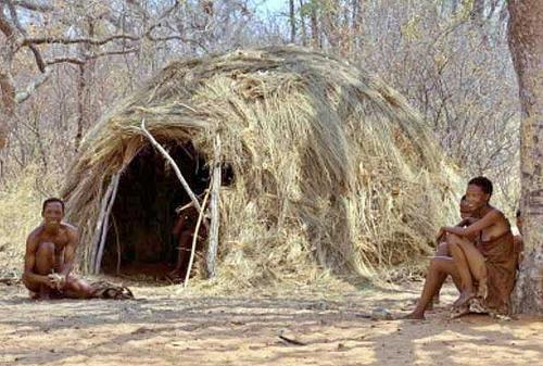 Первое жилище человека. Как всё начиналось