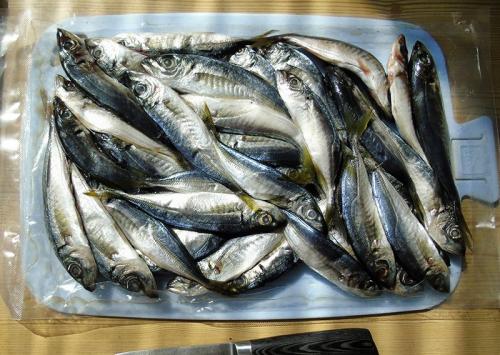 Как засолить ставриду к пиву. ставрида к пиву или к сухому вину