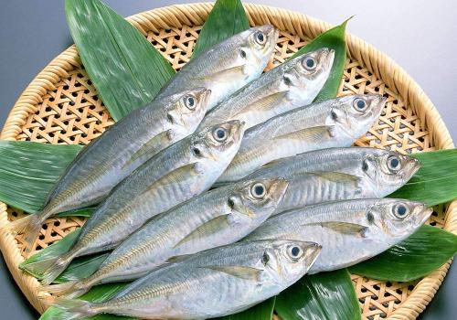 Уха из черноморской ставриды. Ставрида черноморская: пошаговые рецепты с фото для легкого приготовления