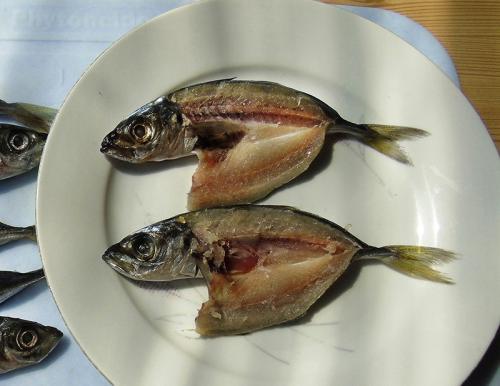 Как засолить ставриду к пиву. ставрида к пиву или к сухому вину