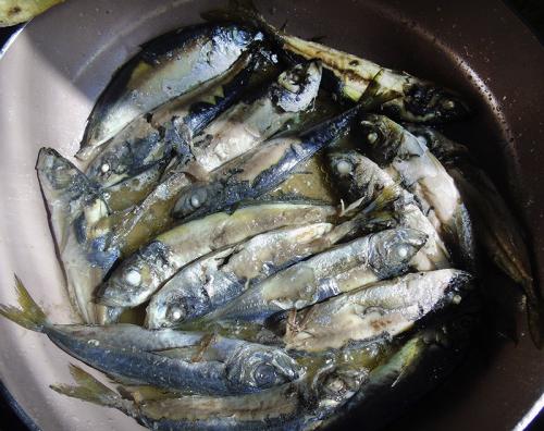 Как засолить ставриду к пиву. ставрида к пиву или к сухому вину