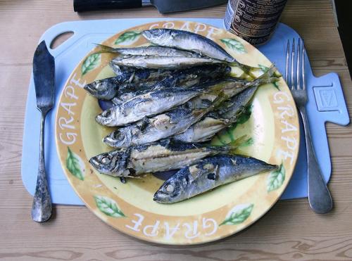 Как засолить ставриду к пиву. ставрида к пиву или к сухому вину