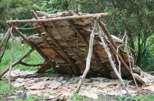 Первое жилище человека. Как всё начиналось