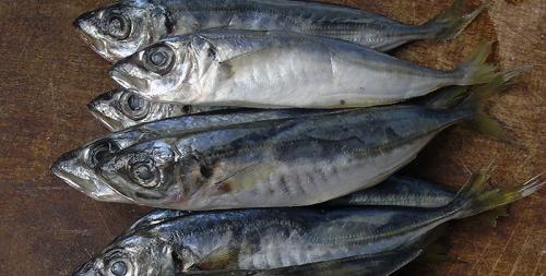 Как засолить ставриду к пиву. ставрида к пиву или к сухому вину