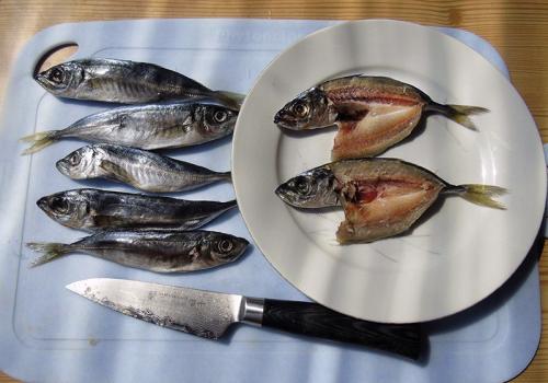 Как засолить ставриду к пиву. ставрида к пиву или к сухому вину