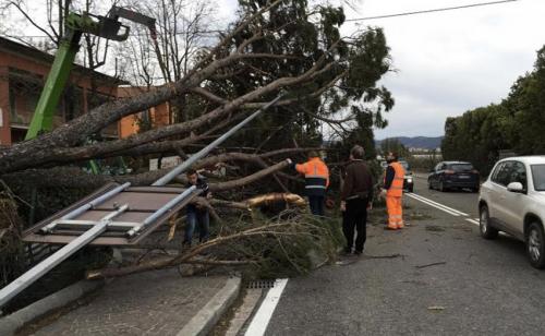 Как меняется направление ветра. Основные ветра разной силы, которые надо знать (5 фото)