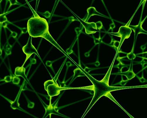 19 интересных фактов о Вирусах. Интересные факты о Вирусах + Видео