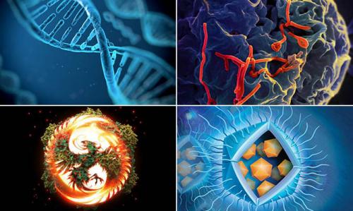 19 интересных фактов о Вирусах. Интересные факты о Вирусах + Видео