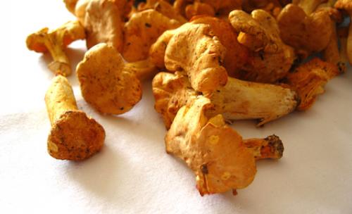 Топ-20 интересных фактов о грибах. Невероятные факты о грибах (1 фото) 12