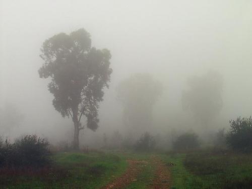 Куда исчезает туман. Почему образуется туман