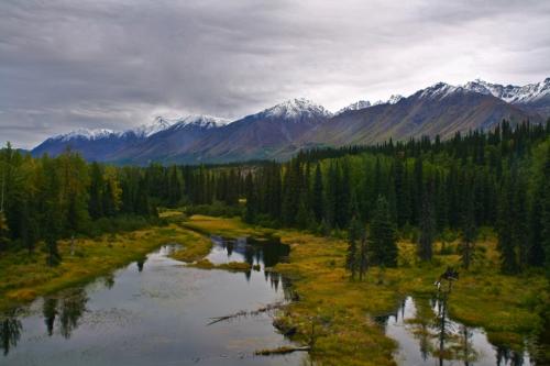 Интересные факты о буром медведе. Бурый медведь — интересные факты 05 Интересные факты о буром медведе. Бурый медведь — интересные факты 05