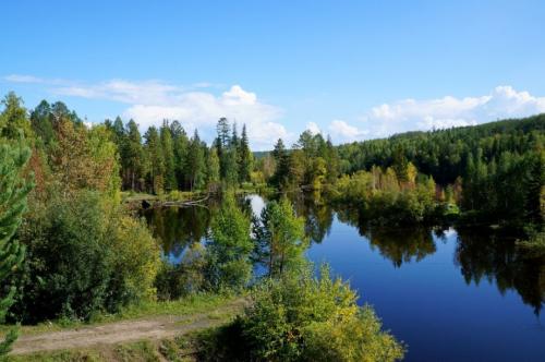 Интересные факты о буром медведе. Бурый медведь — интересные факты 04 Интересные факты о буром медведе. Бурый медведь — интересные факты 04