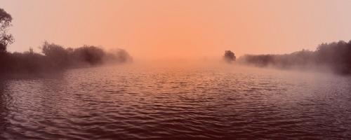 Интересные факты о тумане. Странные истории о плотоядном розовом тумане