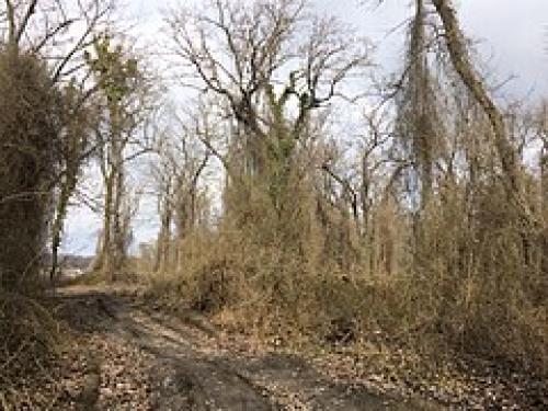 Интересные факты о Дагестане 04