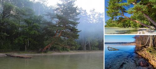 Интересные факты про беларусь. Общие интересные факты о Беларуси 01 Интересные факты про беларусь. Общие интересные факты о Беларуси 01