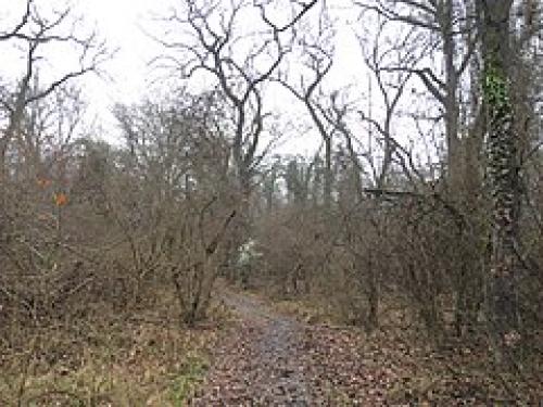 Интересные факты о Дагестане 03