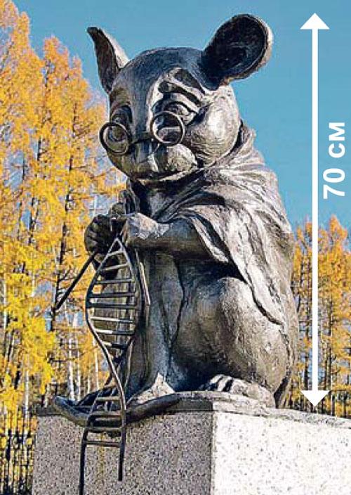 Интересные факты про мышей. Интересные факты 03