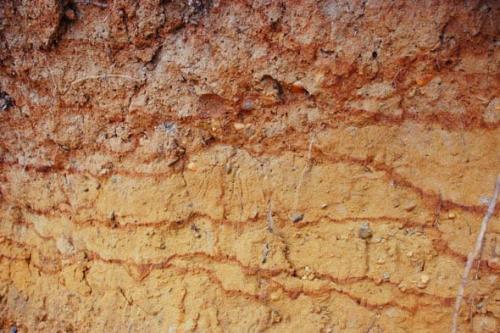 Почва. Выбор оптимальных культур для посадки, в зависимости от вида и типа почвы