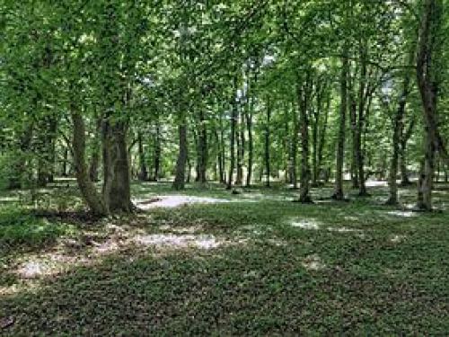 Интересные факты о Дагестане 01