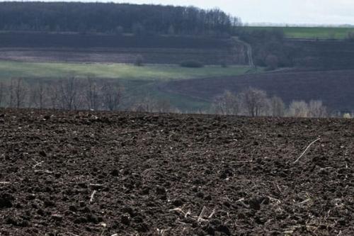 Почва. Выбор оптимальных культур для посадки, в зависимости от вида и типа почвы