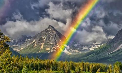 Интересные факты про физиков. Интересные факты о физике