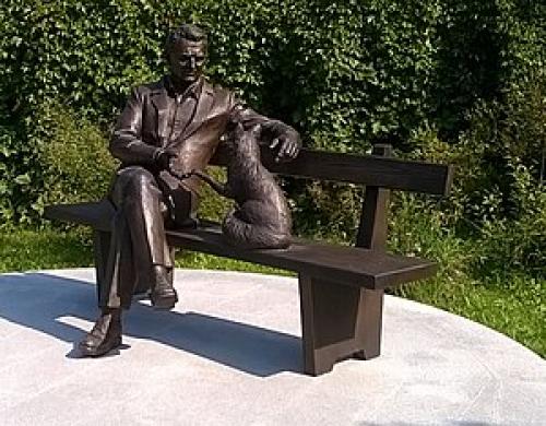 Интересные факты о Лисе. Интересные факты о лисицах 18