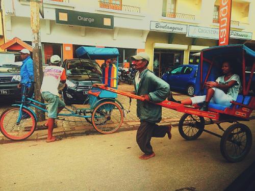 Мадагаскар страна. Мадагаскар — страна, которая не производит ничего, кроме лемуров