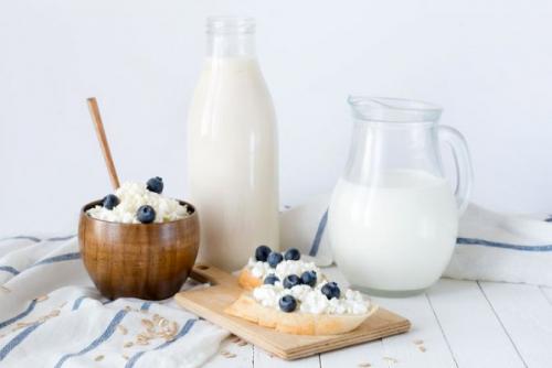 Состав и свойства молочных продуктов. Основные свойства и состав