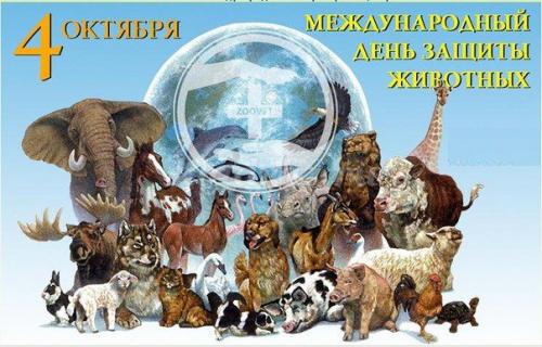 Слон интересные факты. Интересные факты о слонах. 13