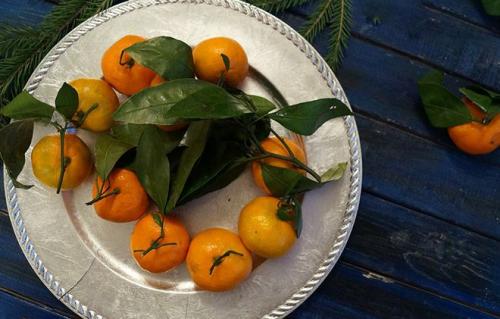 Mandarin страна. Страна родина мандаринов