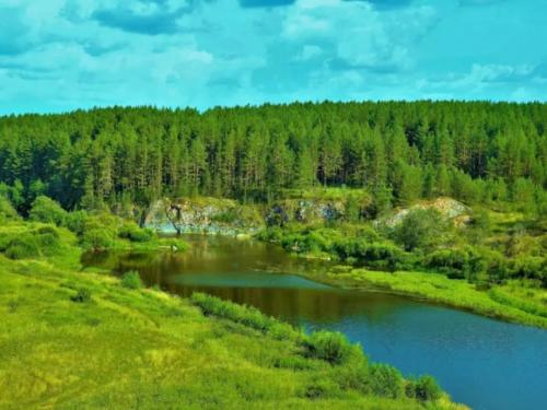 Интересные факты о буром медведе. Бурый медведь — интересные факты 06 Интересные факты о буром медведе. Бурый медведь — интересные факты 06