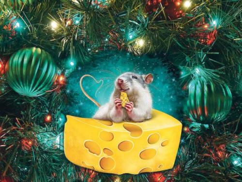 Интересные факты про мышей. Интересные факты 01