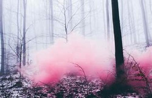 Интересные факты о тумане. Странные истории о плотоядном розовом тумане