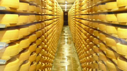 Алтайский край интересные факты. Самая длинная река и самый древний памятник: интересно об Алтайском крае 03