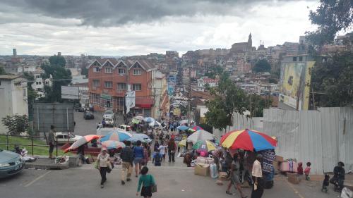Мадагаскар страна. Мадагаскар — страна, которая не производит ничего, кроме лемуров