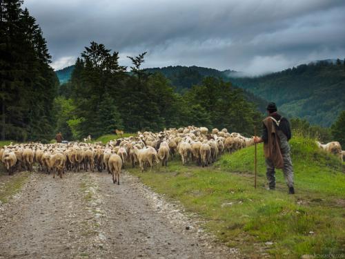 Трансильвания интересные факты. Пугающая Трансильвания