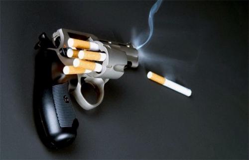 Интересные факты о табаке