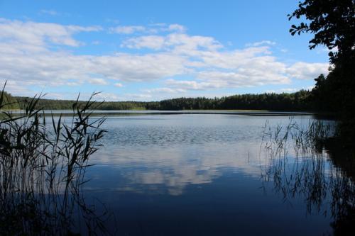 Беларусь интересные факты о стране. Общие интересные факты о Беларуси 05