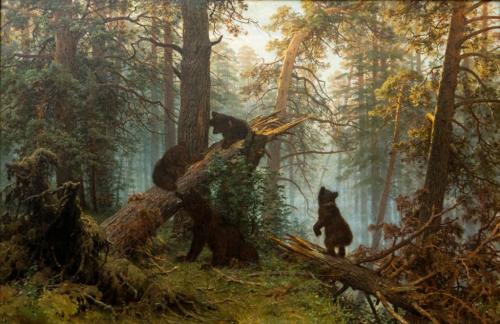 Рассказ о буром медведе из красной книги. Бурый медведь – вид, занесенный в Красную книгу Московской области