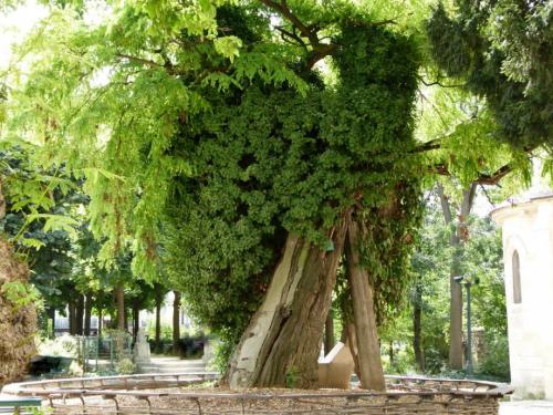 Факты про париж интересные. 10 интересных фактов о Париже 02