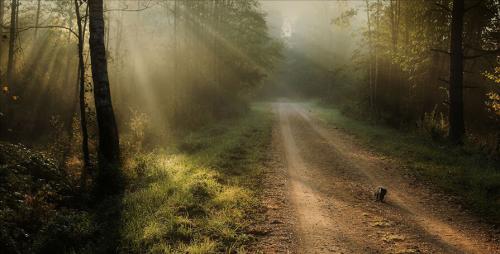 Интересные факты о Белоруссии. 10 фактов о Беларуси, которых вы не знали 31