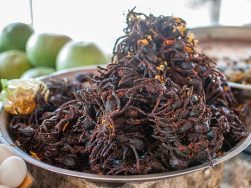 Можно ли есть морских коньков. Еда на грани