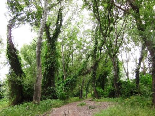 Чем известен Дагестан. Общие сведения о Республике Дагестан