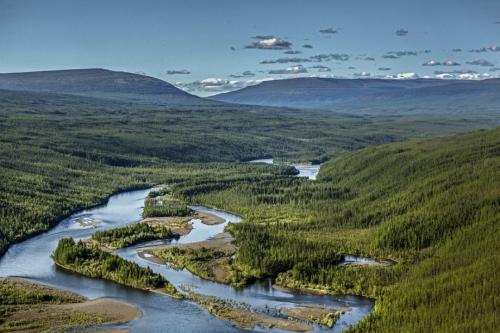 Интересные факты о буром медведе. Бурый медведь — интересные факты 08 Интересные факты о буром медведе. Бурый медведь — интересные факты 08