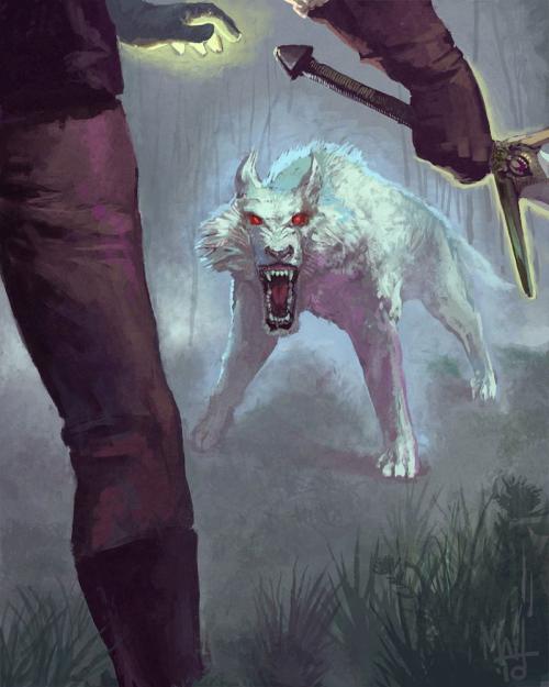 Интересные факты о волках. Малоизвестные факты о волках