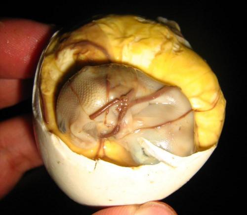 Можно ли есть морских коньков. Еда на грани