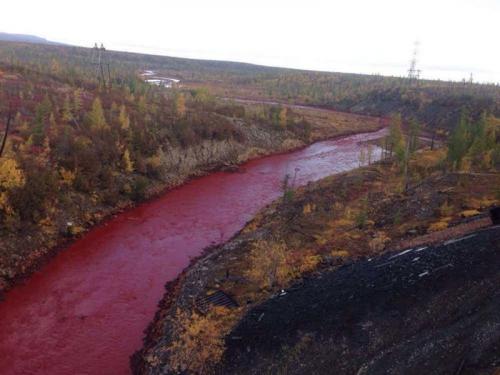 Интересные факты о Сибири. Факты о Сибири 06